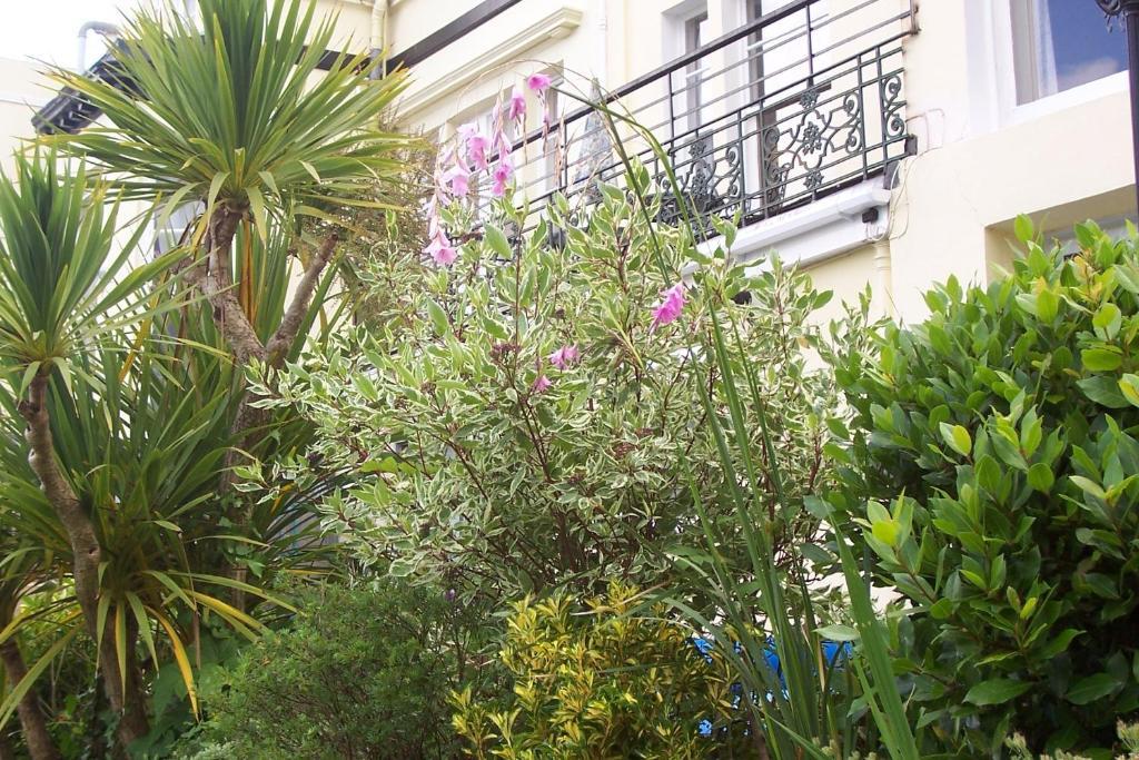 Ashwood Grange Panzió Torquay Kültér fotó